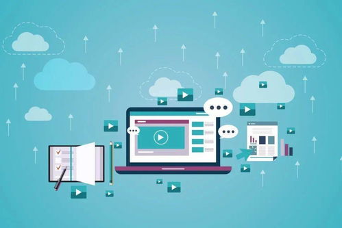 个人信息保护日 安全上网，七招教你避防风险与网络信息安全软件开发