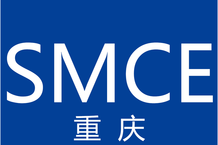 网络与信息安全软件开发 数字时代的基石，更是应用与AI未来的护航者
