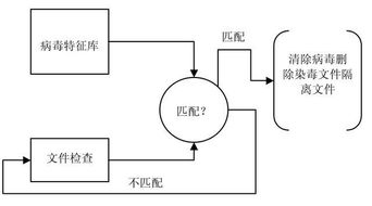 数字时代的守护者 防毒软件与网络信息安全软件开发的重要性